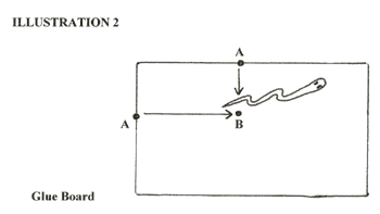 Illustration 2